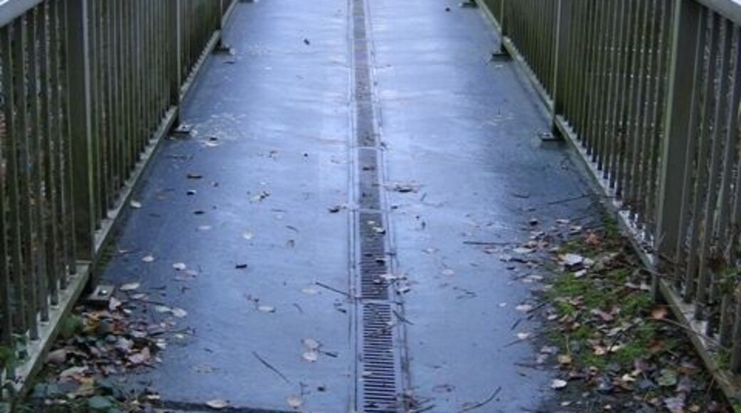 A pedestrian bridge with metal railings, surrounded by trees with autumn foliage.