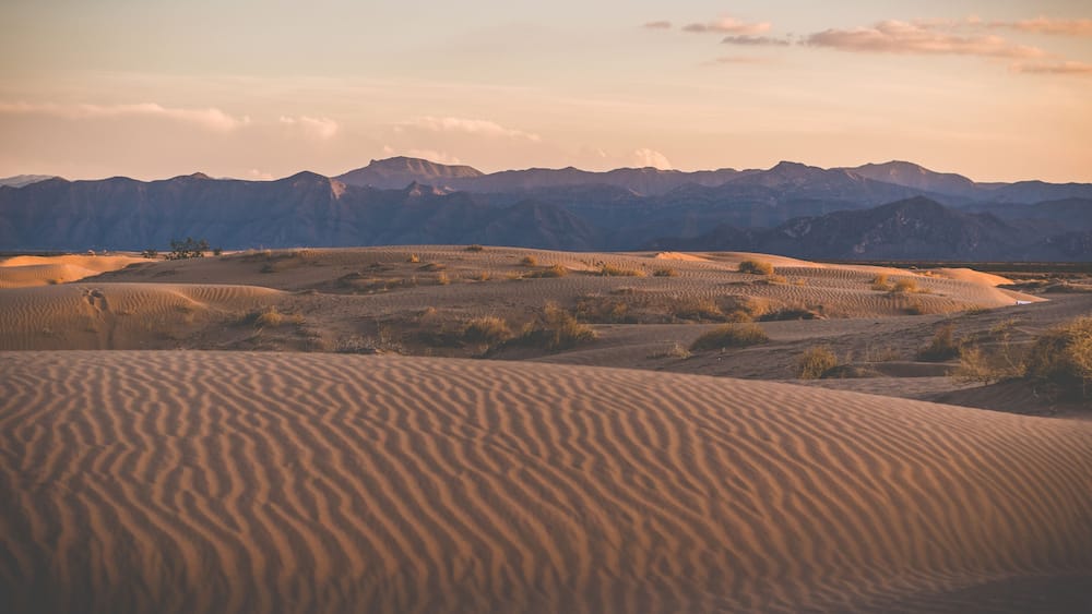Sand dunes with sparse vegetation and distant mountains.