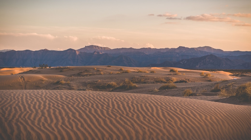 Hermosa vista del paisaje del atardecer en las dunas de Bilbao en Coahuila, México