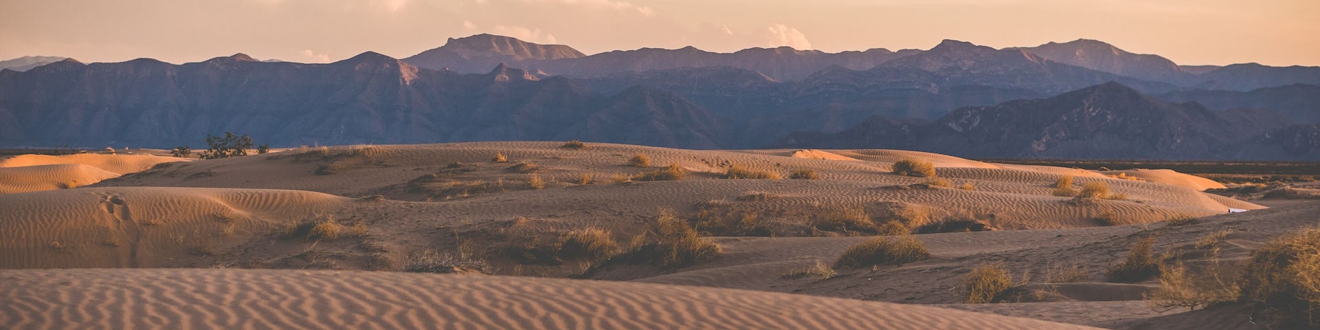 Hermosa vista del paisaje del atardecer en las dunas de Bilbao en Coahuila, México