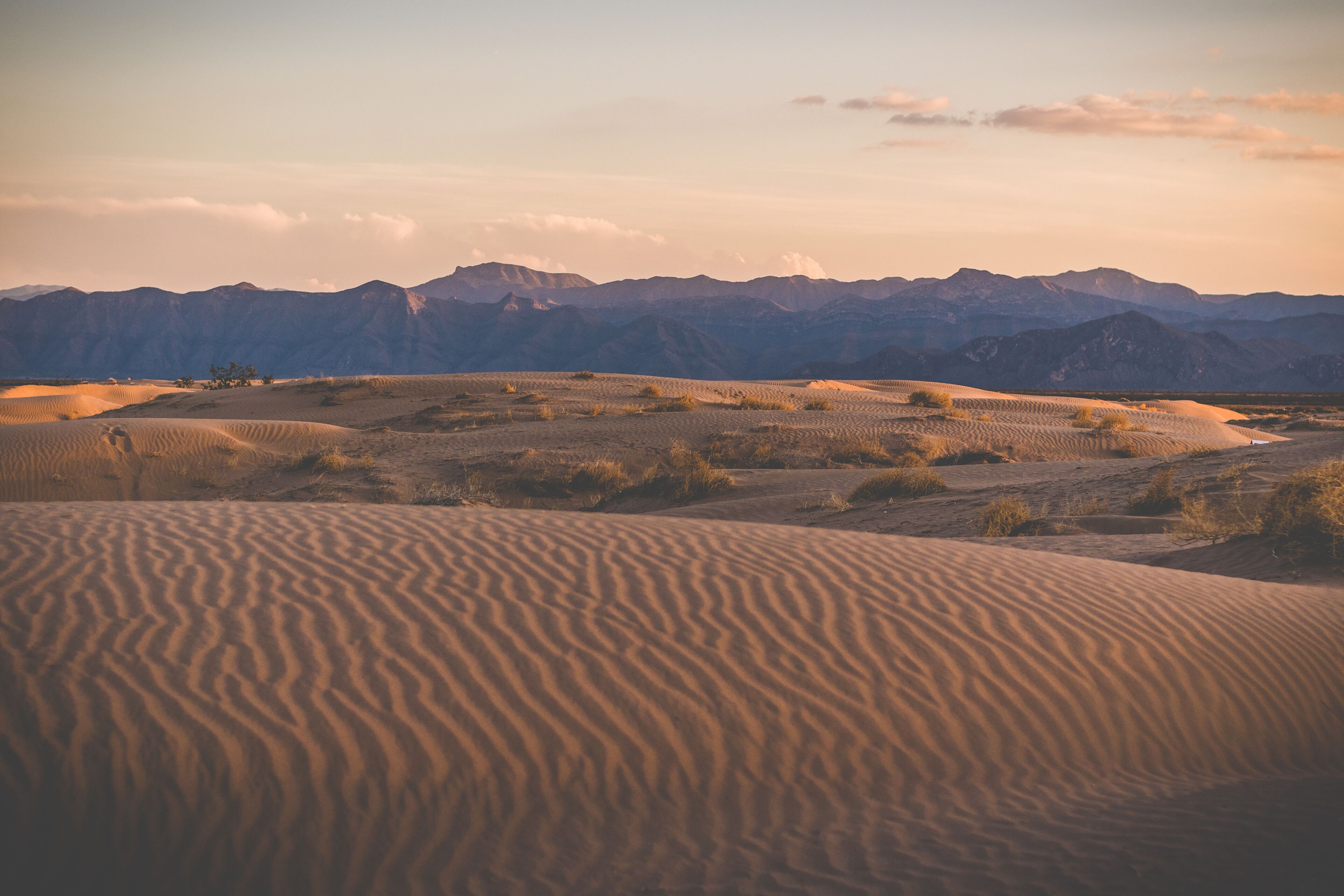 Sand dunes with sparse vegetation and distant mountains.