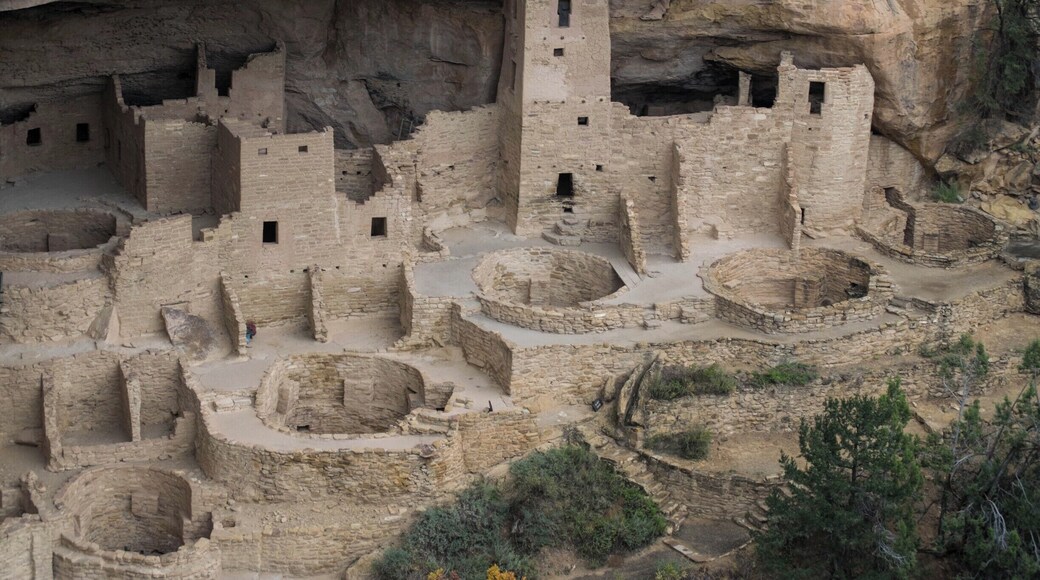 Cliff Palace at Mesa Verde National Park. Tours are available depending on time and season. October is an amazing time to visit (in my experience).
#NationalPark #MesaVerde #Colorado