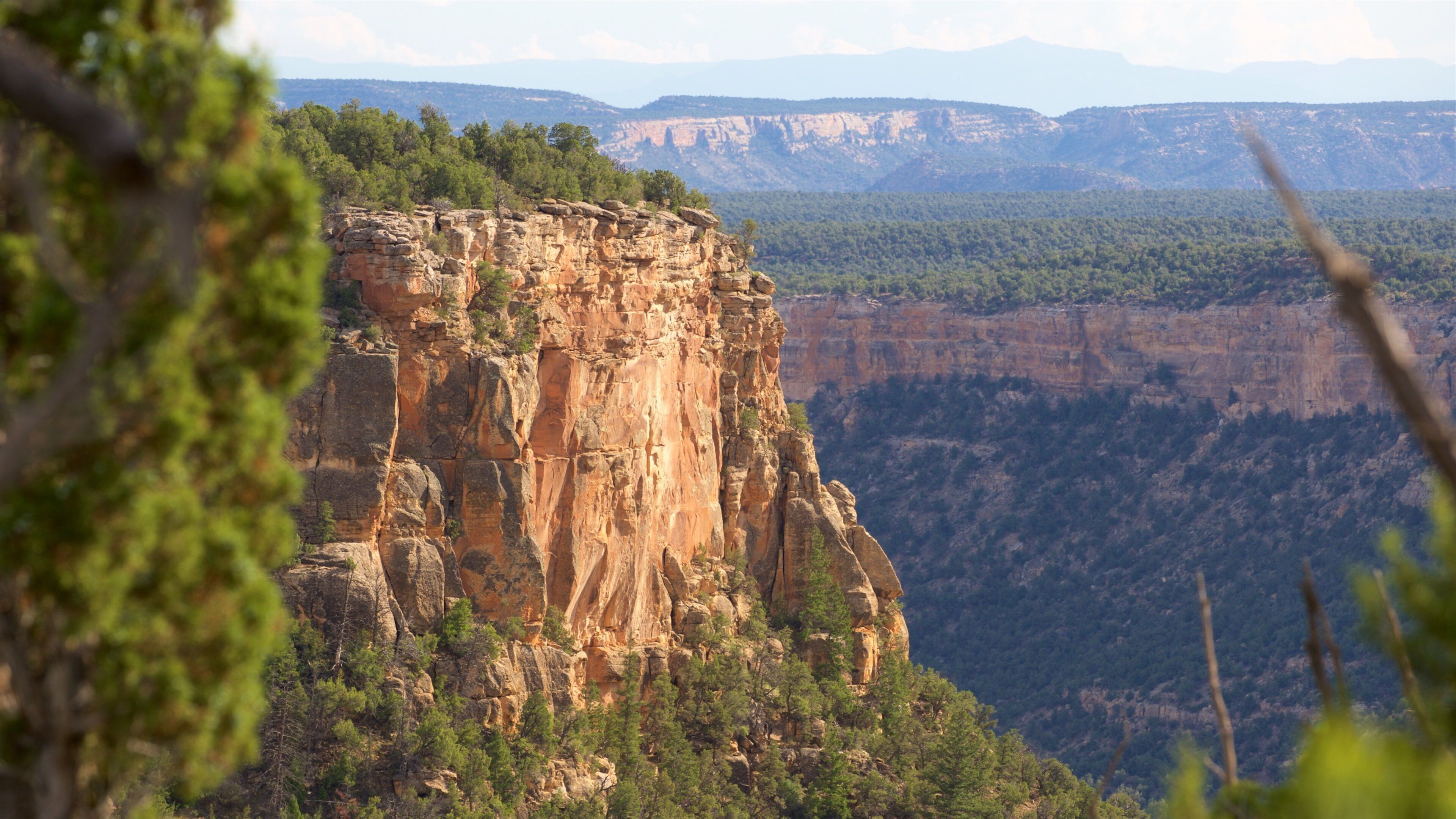 Mesa Verde National Park which includes landscape views, a gorge or canyon and tranquil scenes