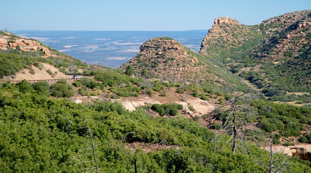 Mesa Verde National Park which includes tranquil scenes and landscape views