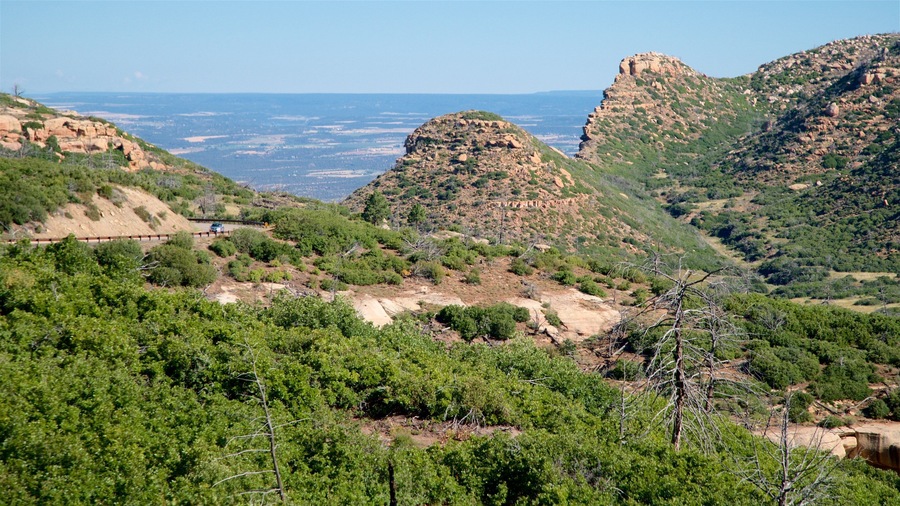 Mesa Verde National Park featuring tranquil scenes and landscape views