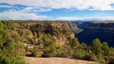 Parque Nacional Mesa Verde mostrando situaciones tranquilas, un cañón o garganta y vistas panorámicas