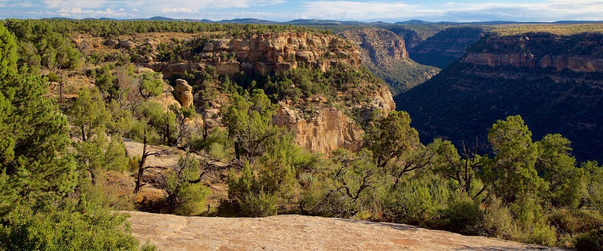 A canyon with rocky cliffs and dense green trees.