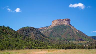 Parque Nacional Mesa Verde que incluye situaciones tranquilas, vistas panorámicas y montañas