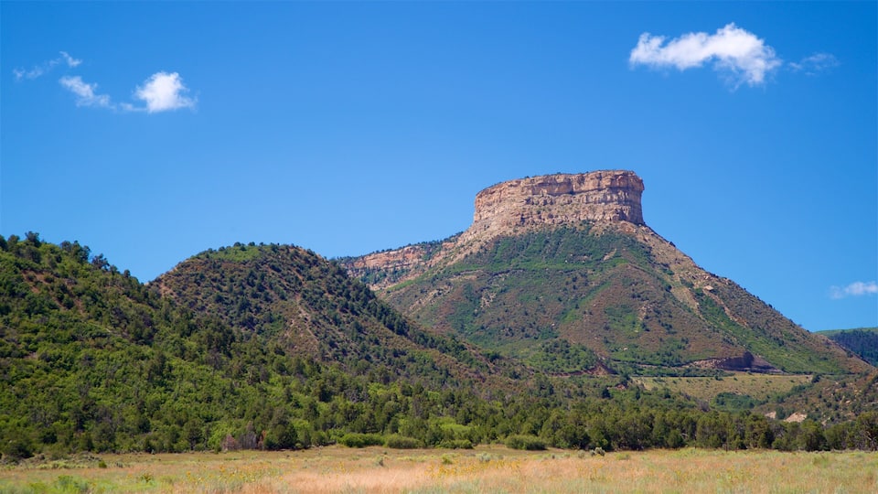 A mountain with a flat-topped peak, surrounded by dense forest and a clear blue sky.