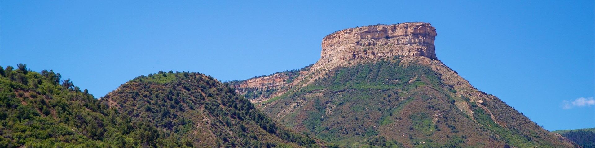 A mountain with a flat-topped peak, surrounded by dense forest and a clear blue sky.