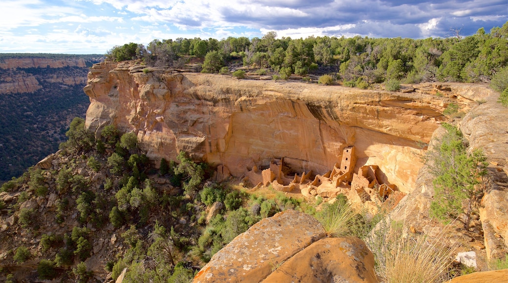 Mesa Verde National Park featuring a gorge or canyon and landscape views