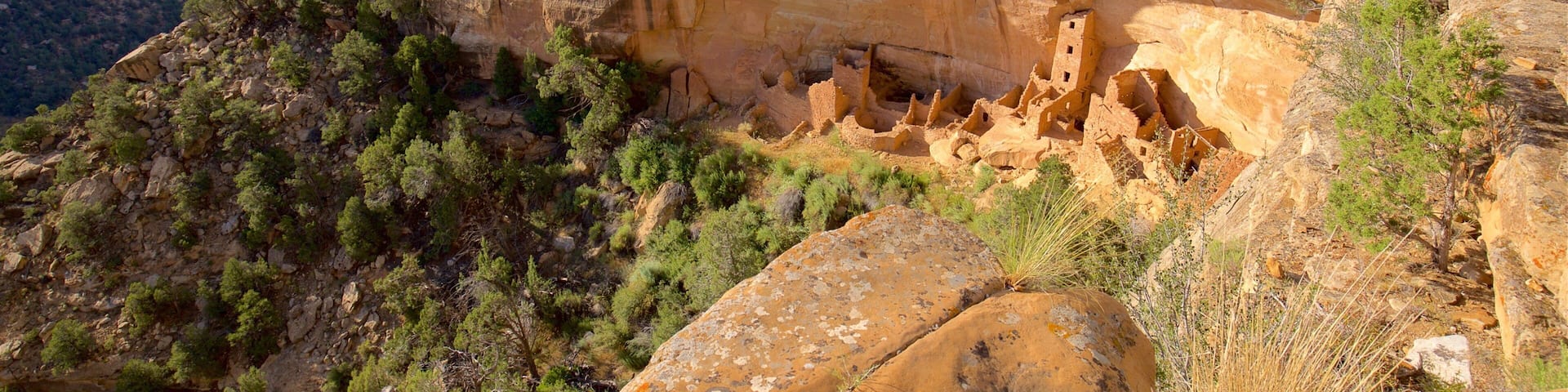 Mesa Verde National Park featuring a gorge or canyon and landscape views