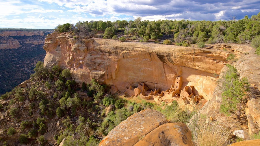 Mesa Verde National Park featuring a gorge or canyon and landscape views