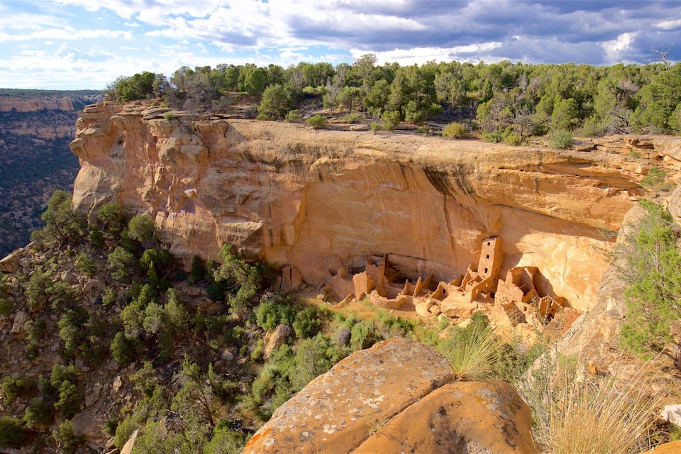 A canyon with ancient cliff dwellings and dense forest.