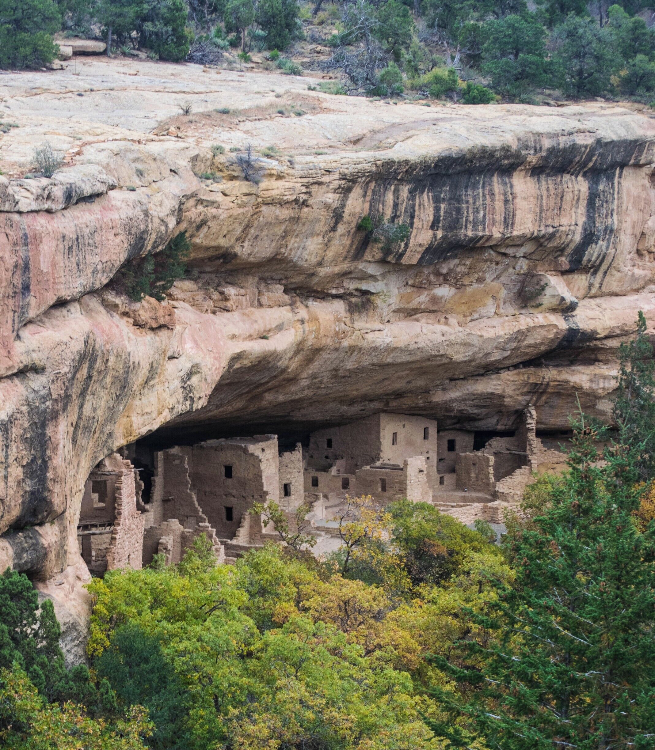 View of the Spruce Tree House at Mesa Verde National Park. The house was closed due to loose rock when I went there, but still got some amazing views from the overlook.
#MesaVerde #NativeAmerican #NationalPark #CliffDwelling #Colorado
#StunningStructures
