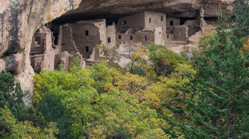 View of the Spruce Tree House at Mesa Verde National Park. The house was closed due to loose rock when I went there, but still got some amazing views from the overlook.
#MesaVerde #NativeAmerican #NationalPark #CliffDwelling #Colorado
#StunningStructures