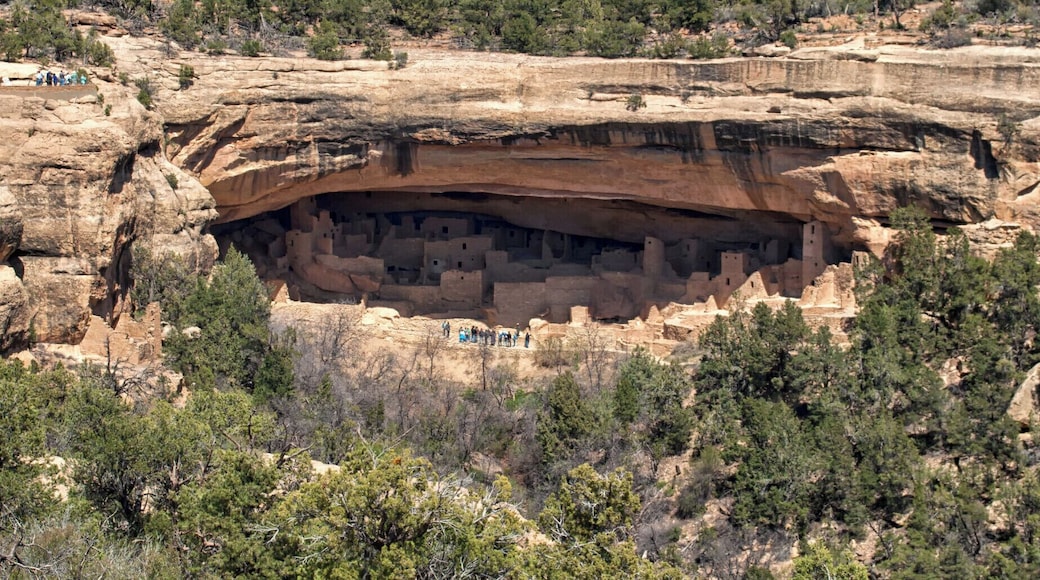 On a high plateau in Colorado, the Native American Puebloans build houses and even whole villages into the solid sandstone cliffs. They were built around 1200 AD but the dry weather and shelter has protected them from damage.
One of the best preserved sites is Spruce Tree House, which you can explore on your own. You can also take guided tours of the large Cliff Palace (pictured) and Balcony House, which you have to climb a 32-foot wooden ladder and crawl through a tunnel to reach.
Read more at: http://www.ontheluce.com/2013/05/20/the-mysteries-of-mesa-verde/
#USA #Colorado #NationalPark
