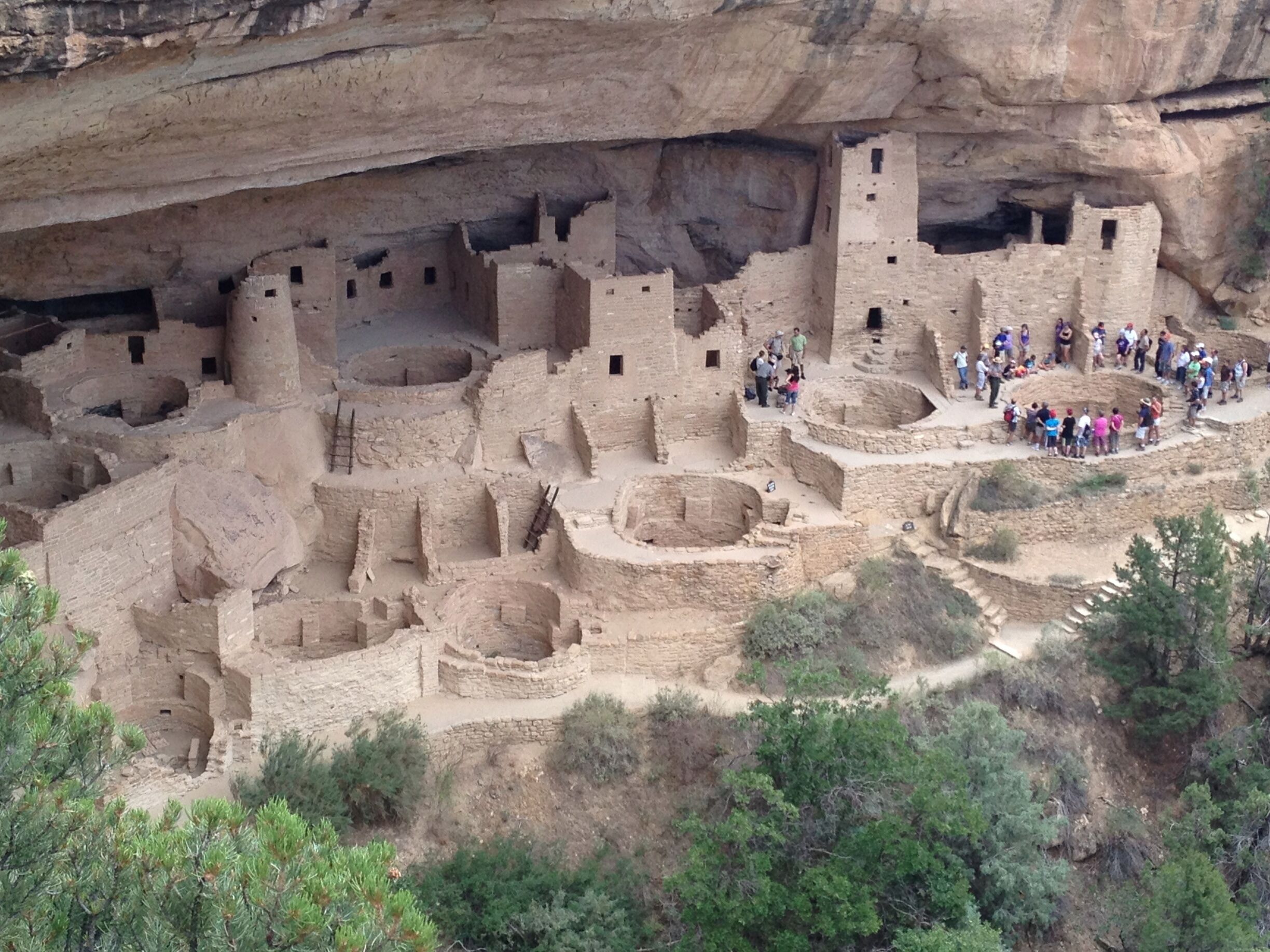 Entire view of Cliff Palace in Mesa Verde. Largest group of ruins to tour in MVNP. #roadtrip #nationalpark