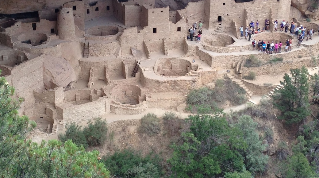Entire view of Cliff Palace in Mesa Verde. Largest group of ruins to tour in MVNP. #roadtrip #nationalpark