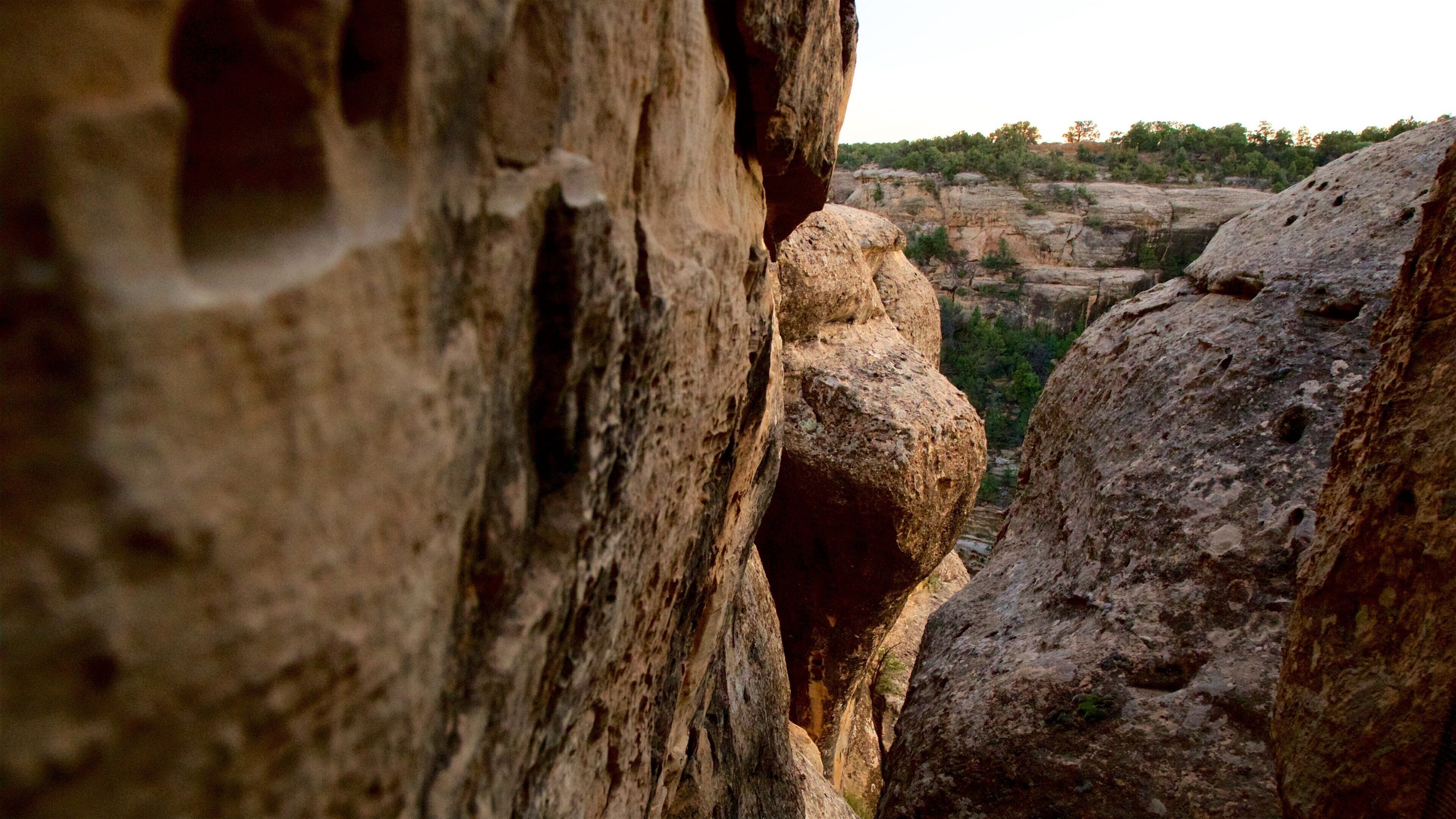Mesa Verde National Park showing tranquil scenes
