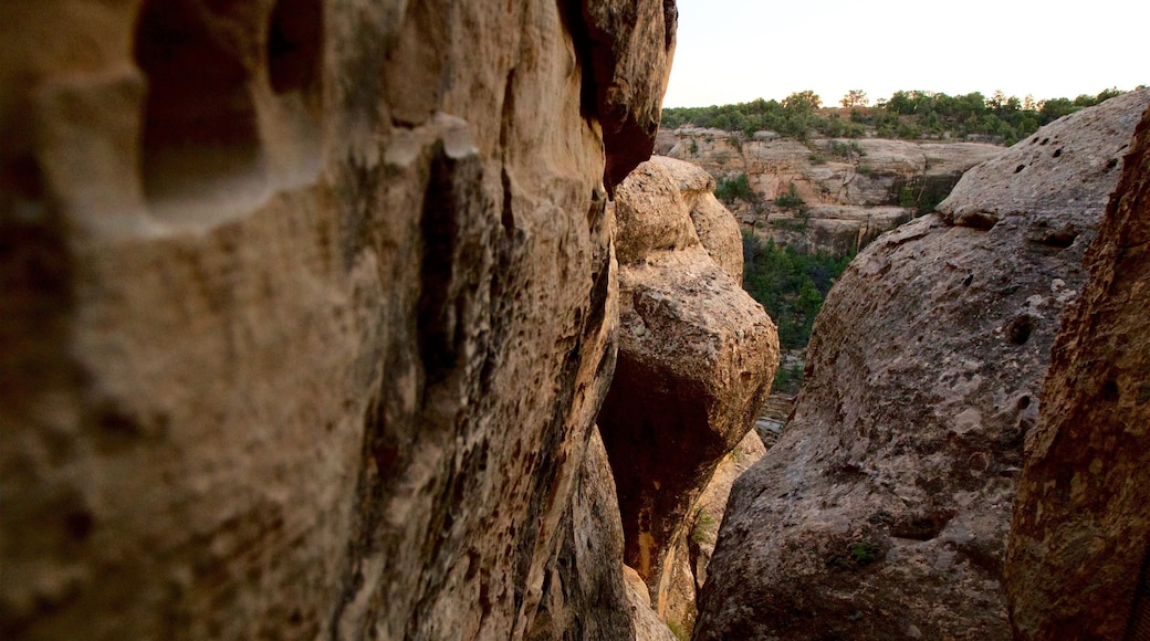 Mesa Verde National Park showing tranquil scenes