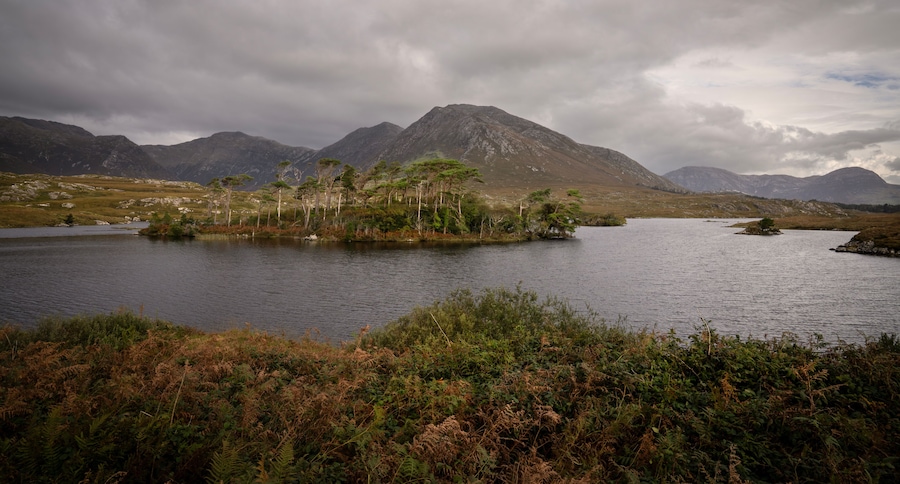 A lake surrounded by mountains and sparse vegetation.
