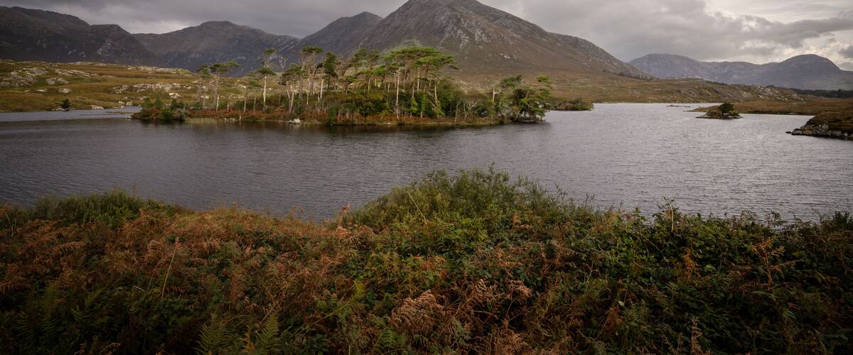 A lake surrounded by mountains and sparse vegetation.