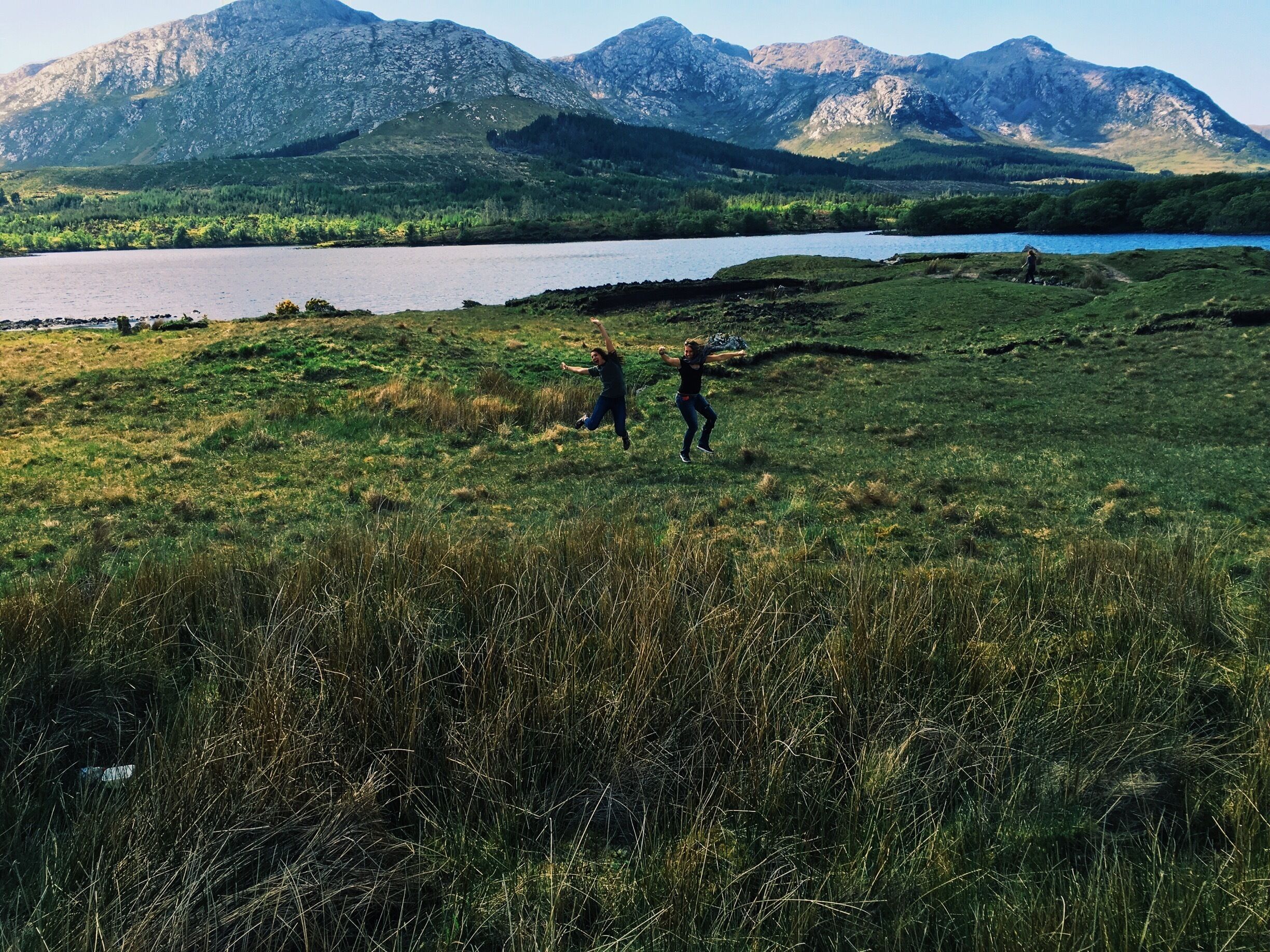 Un campo cubierto de hierba con un lago y montañas al fondo.
