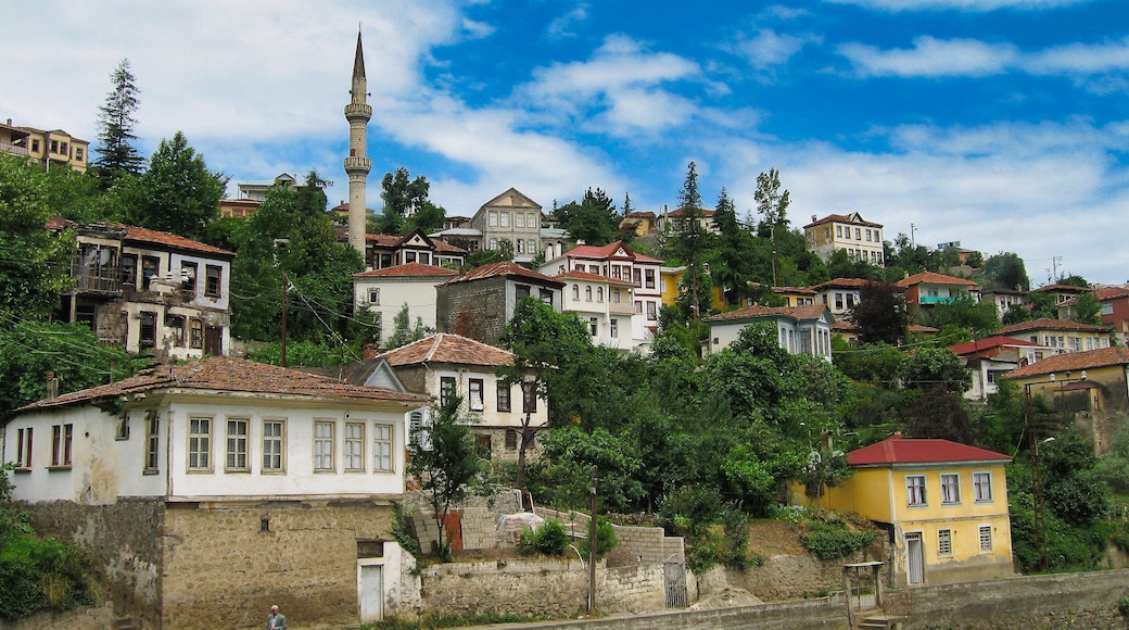 Akçaabat Ortamahalle Ottoman Houses