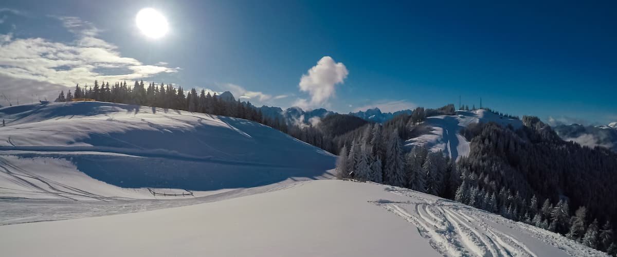 A snow-covered mountain slope with ski tracks, evergreen trees, and a clear blue sky.