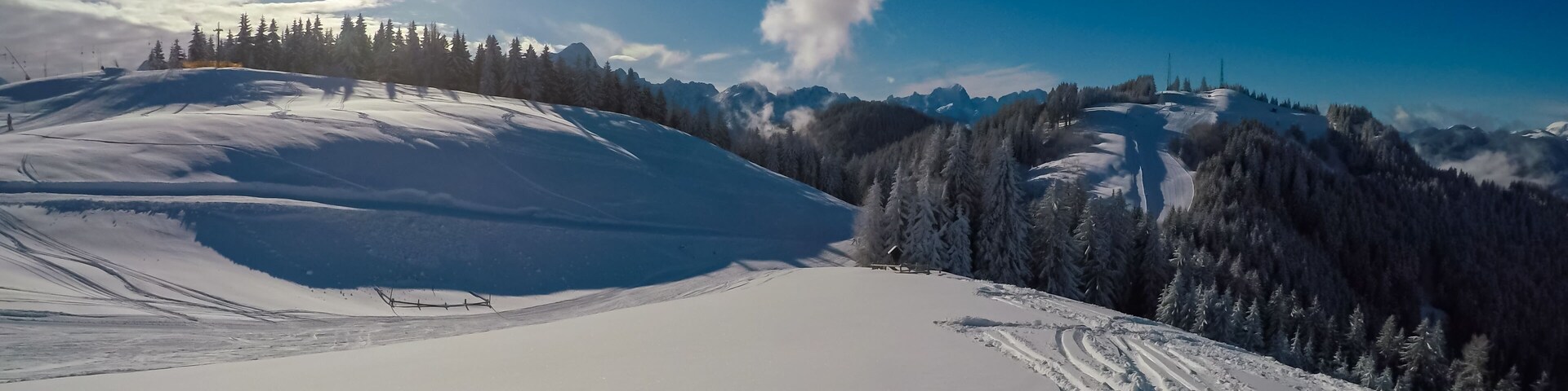 A snow-covered mountain slope with ski tracks, evergreen trees, and a clear blue sky.
