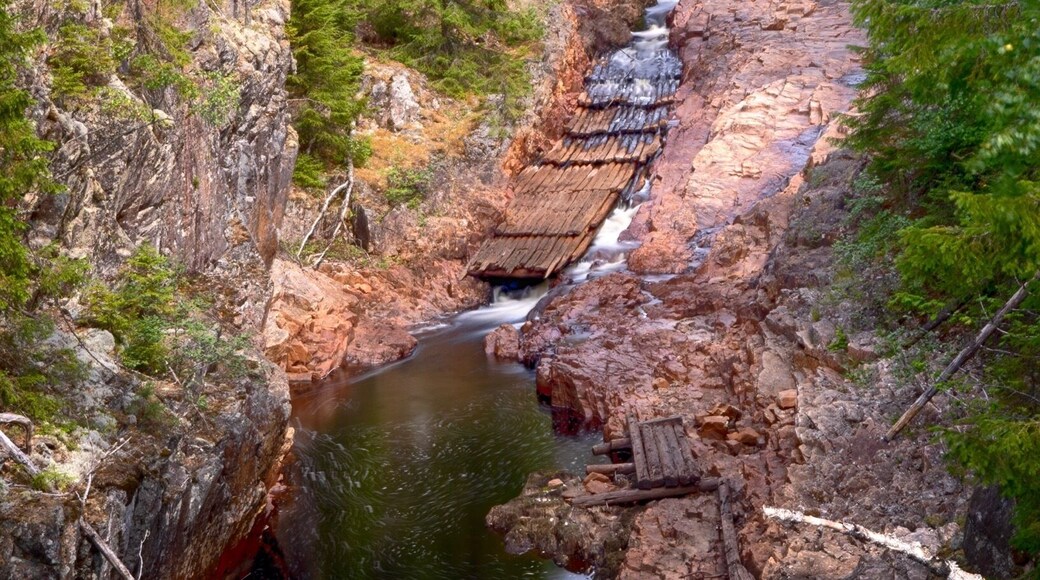 Brattfallet/Halgåleden.