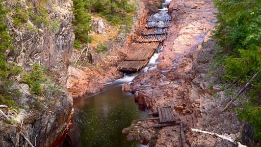 Brattfallet/Halgåleden.