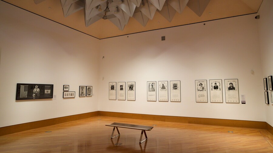 Frost Art Museum which includes interior views and art