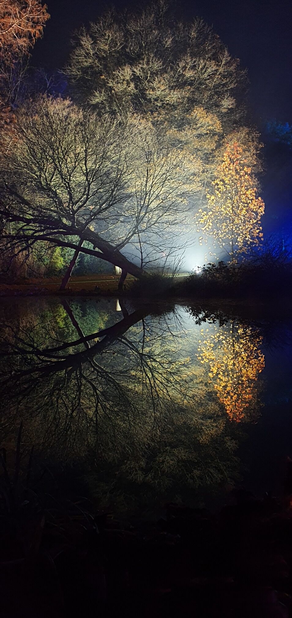 Visiting the annual Enchanted Woodland at Syon Park, Brentford, UK