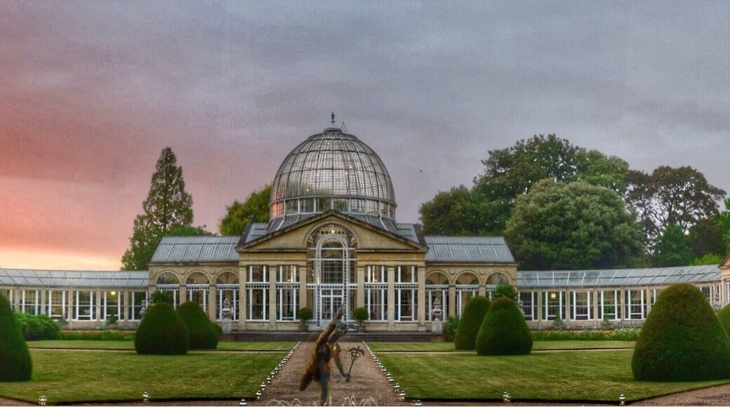 A house, gardens and orangery. A stylish wedding venue for limited dates during the year.
#Trovember