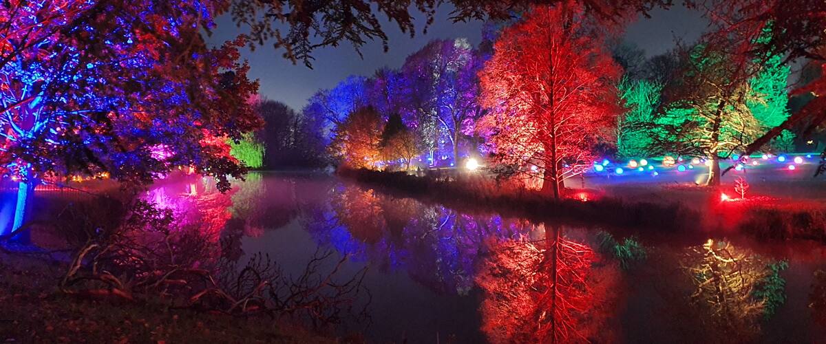 Enchanted Woodland 2020