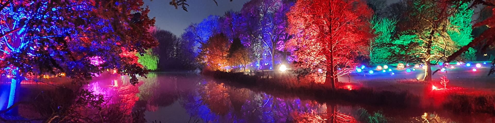 Enchanted Woodland 2020