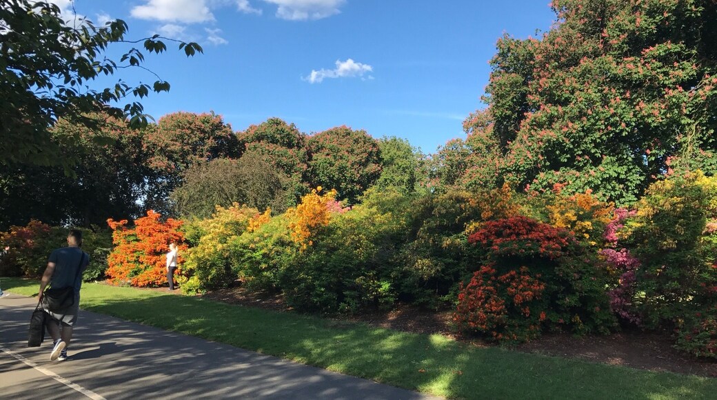 Sunshine makes green even more beautiful
#Parks photo challenge