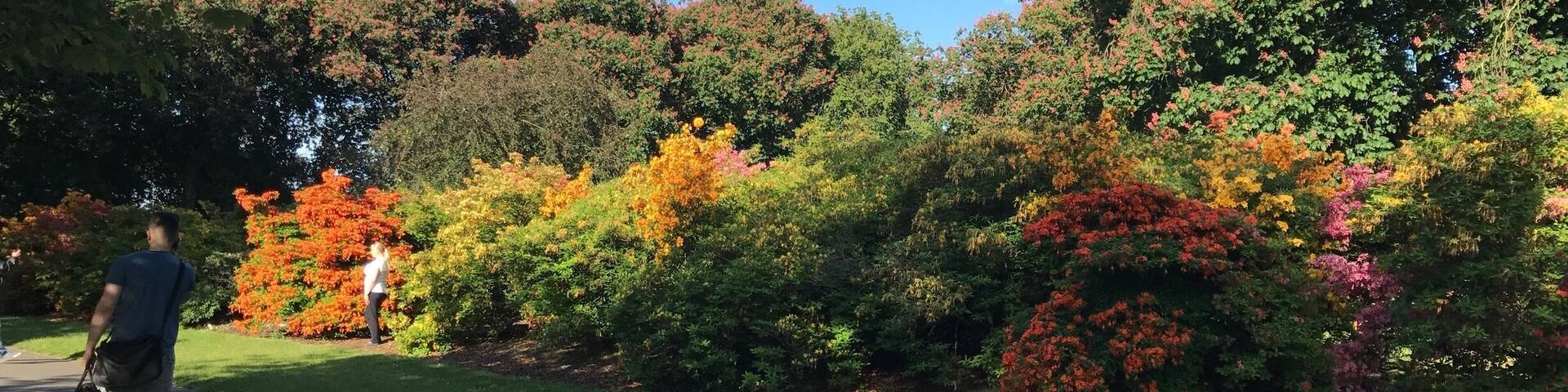 Sunshine makes green even more beautiful
#Parks photo challenge