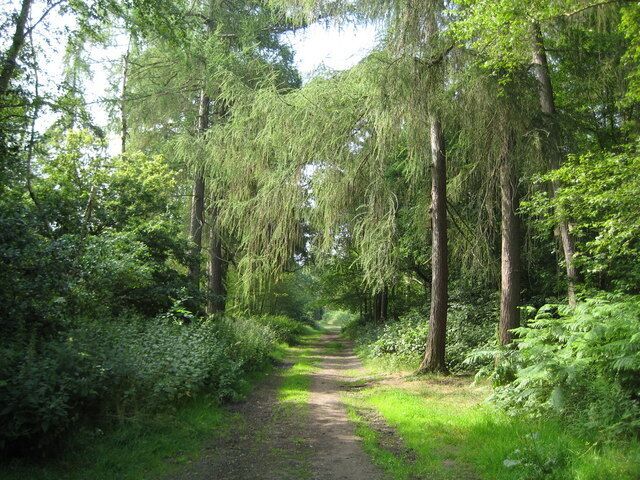 Oxhey Woods Local Nature Reserve One of six local nature reserves run by Three Rivers District Council, Oxhey Woods covers approximately 98 hectares (or, if it was square, an area of about one kilometre by one kilometre). Some of the woodland is quite ancient dating back to the last Ice Age some 10,000 years ago. The woods were designated as a nature reserve at the start of 1997.