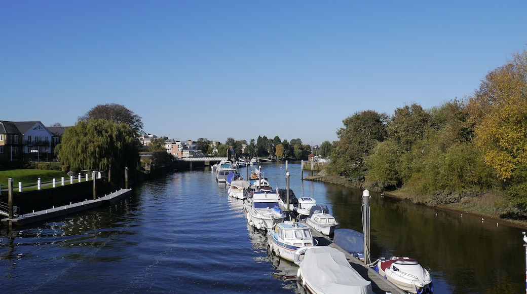 Boats Moored up on the River Thames in Teddington London Uk