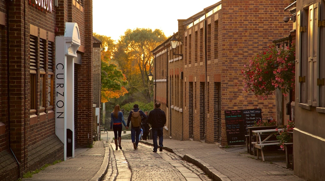 Richmond showing street scenes as well as a small group of people