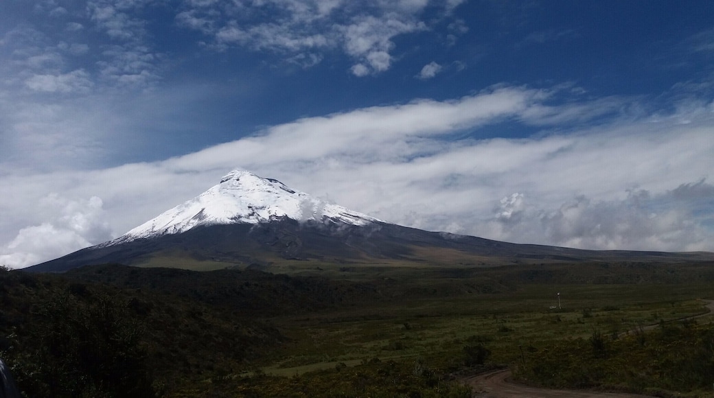 Cantón Mejía
