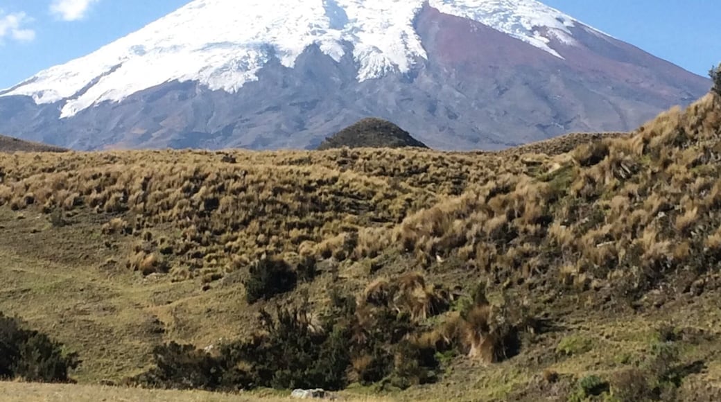 Cotopaxi