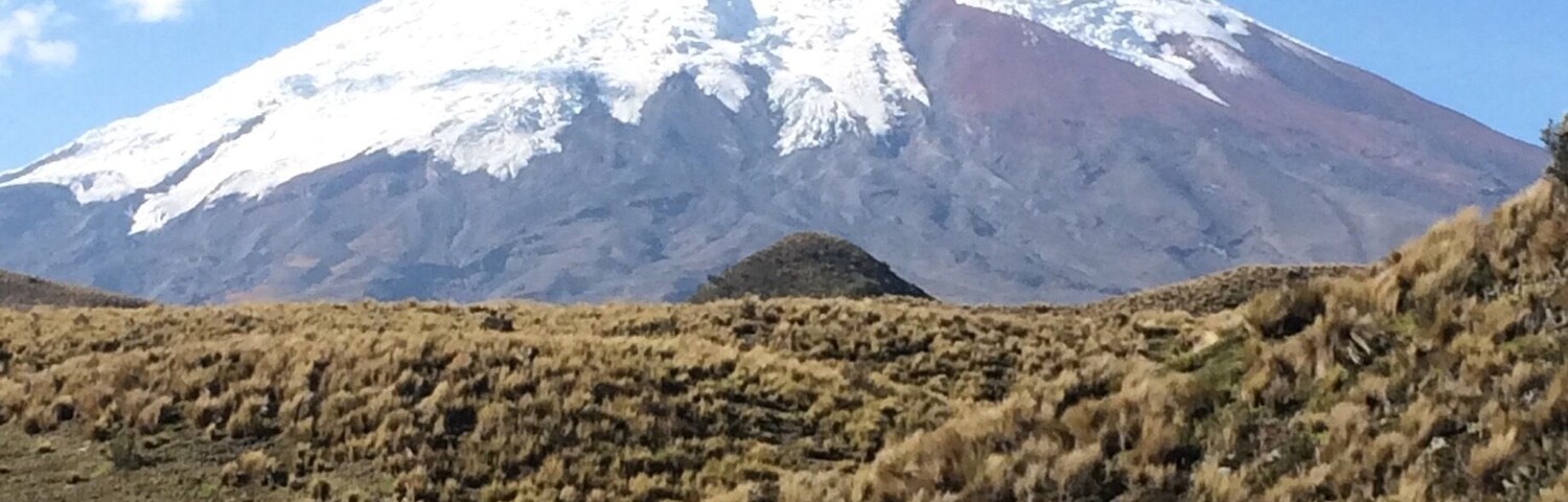Una montaña nevada con cielo despejado.