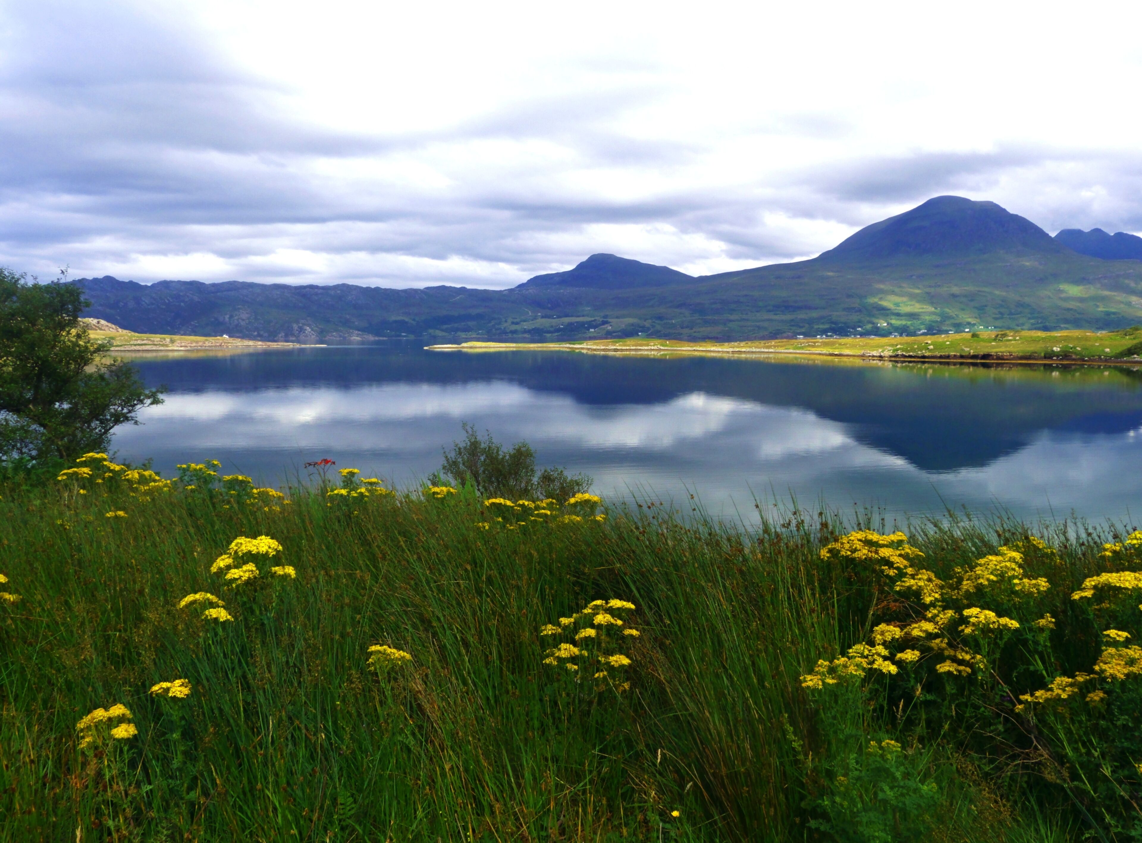 A lake surrounded by mountains and fields of yellow flowers.