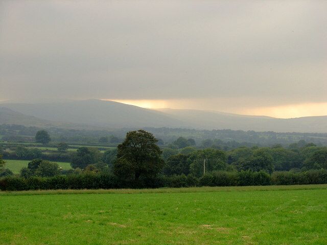 Um campo verde com uma árvore e colinas distantes sob um céu nublado.