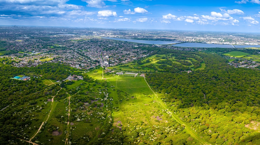 Aerial view of Epping park in Essex, England