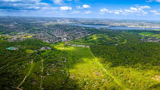 Aerial view of Epping park in Essex, England